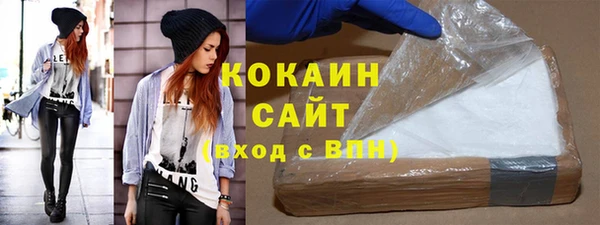 шишки Инта