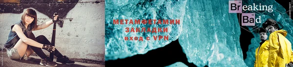 шишки Инта