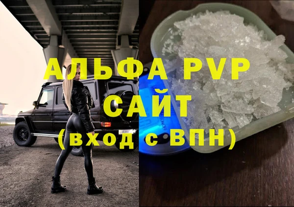 сатива Зерноград