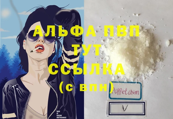 гашик Иннополис