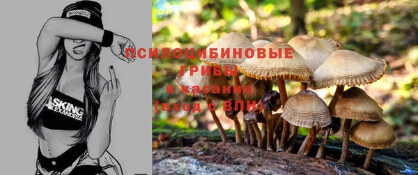 гашик Иннополис