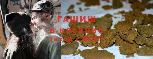 шишки Инта