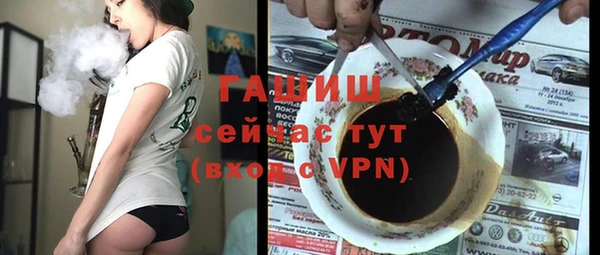 шишки Инта