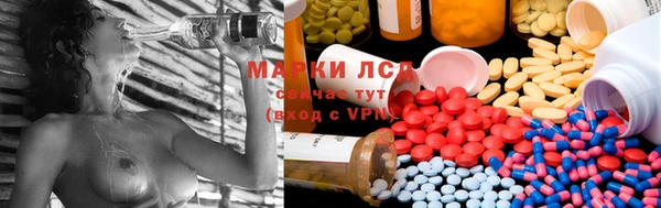 сатива Зерноград